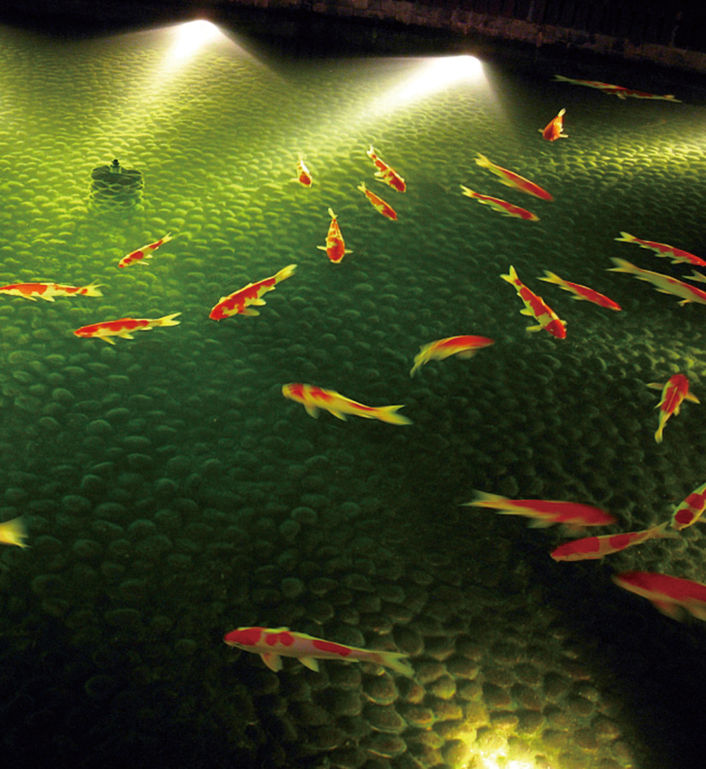 24W水池燈投光燈